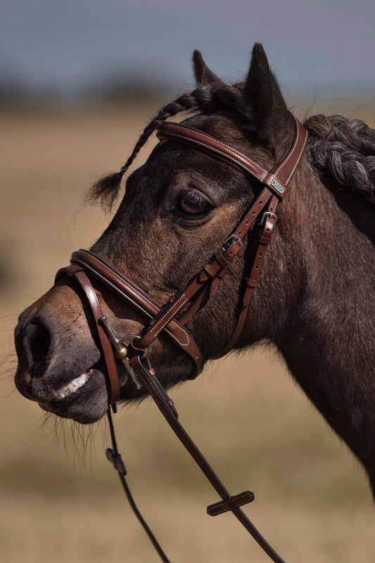 Bridles for the little ones