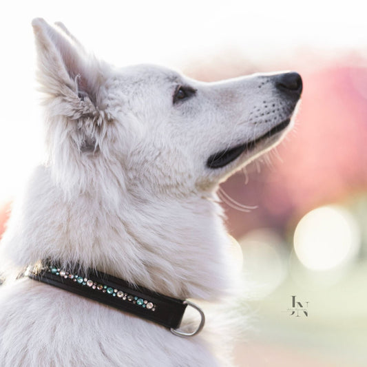 Schwarzes Hundehalsband mit innenliegenden Strasssteinen