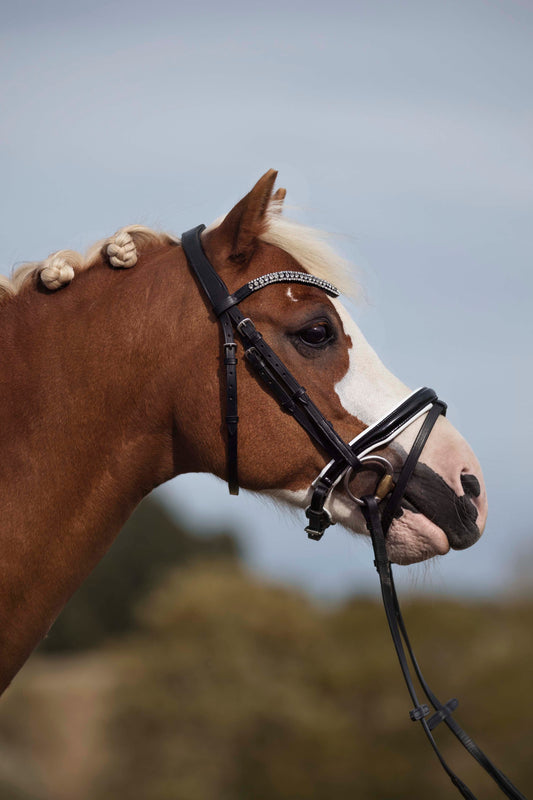 Bridles for the little ones, Swedish-combined