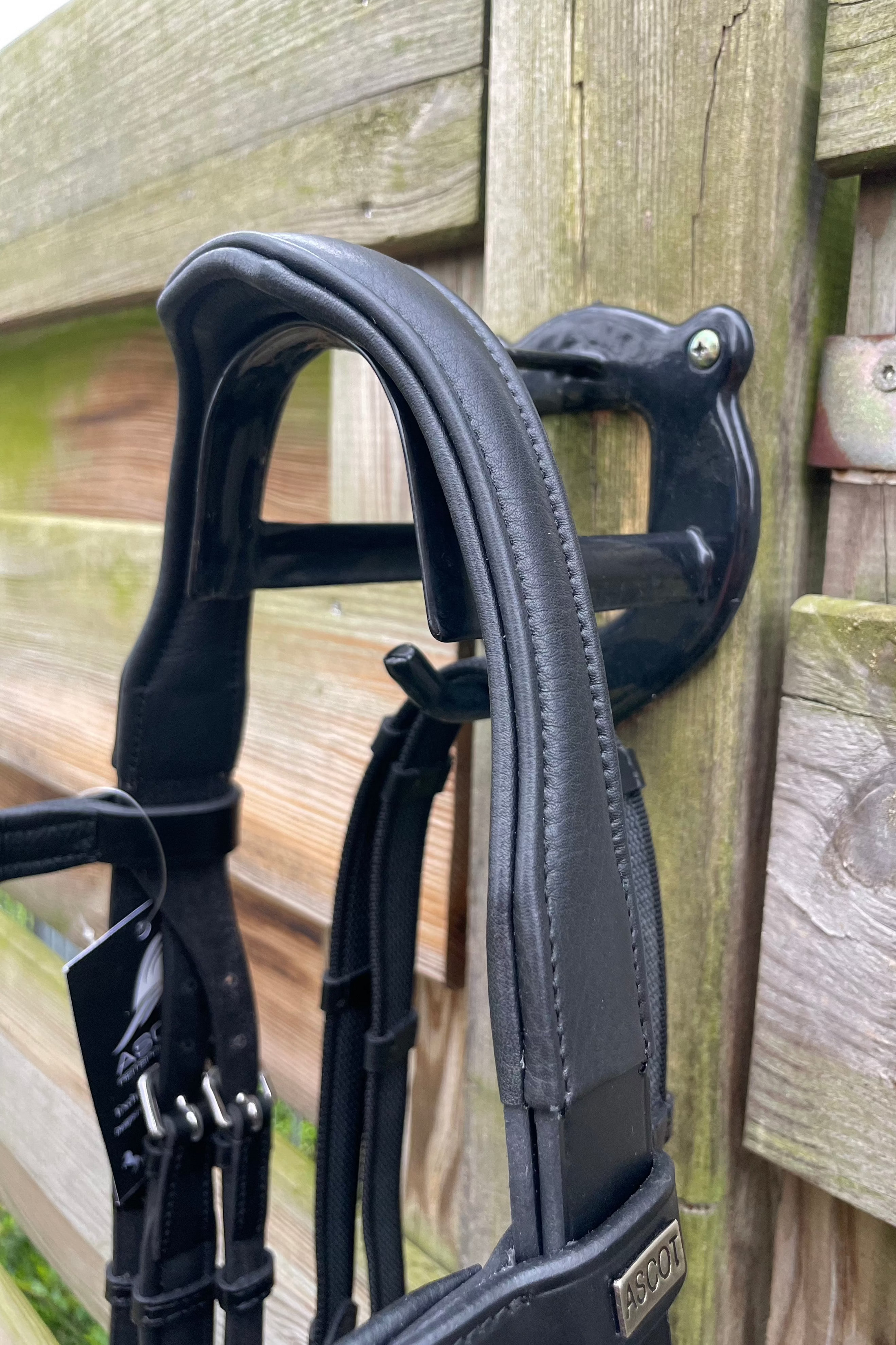 Schwarze anatomische Trense mit Softleder-Genickstück und einem klaren Strassstirnband der Marke Ascot Reitsportartikel.