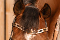 Load image into Gallery viewer, Browband in polo design (No. 15.)
