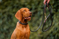 Load image into Gallery viewer, Lederhundehalsband rundgenäht
