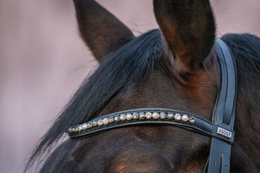 Stirnriemen Glamour (Nr. 17.)