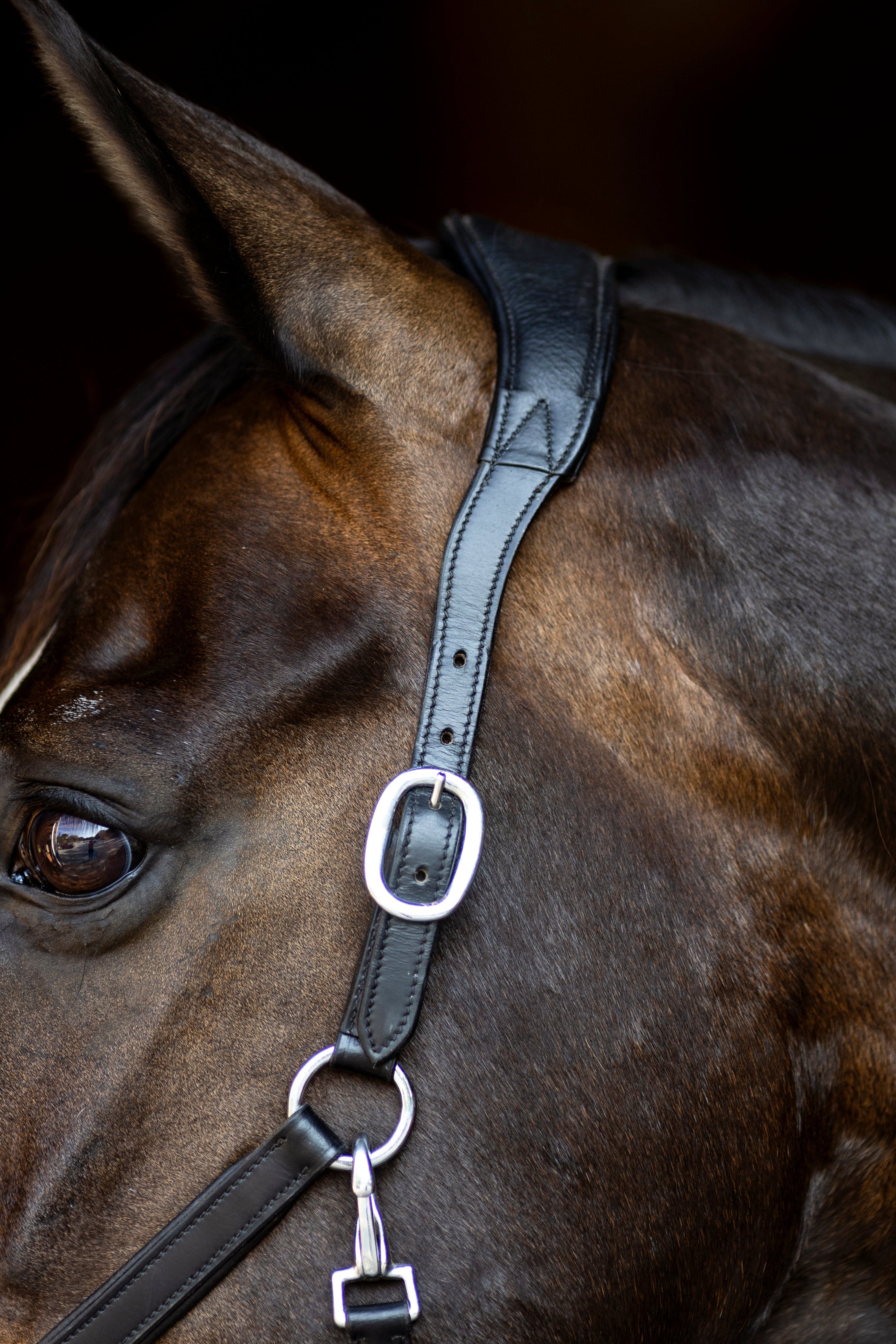 Leather halter with patent and rhinestone noseband