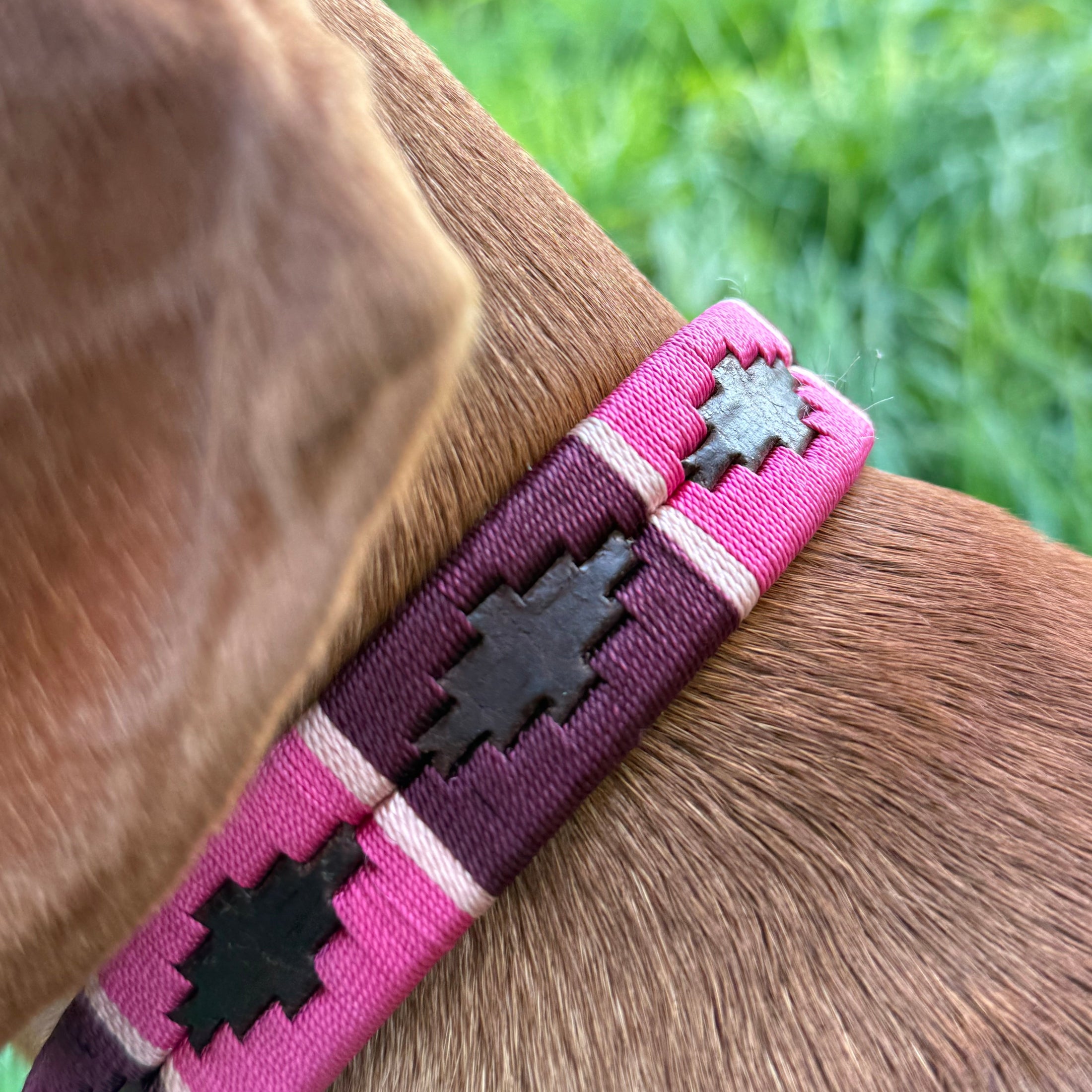 braune Hundehalsbänder im Polo-Design