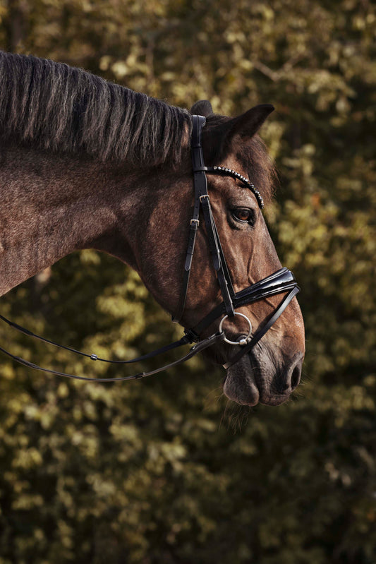 2 in 1 Kaltblut Trense