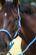 Bild in Galerie-Betrachter laden, Nylonhalfter mit Strick
