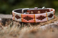 Load image into Gallery viewer, Dog collars in polo design

