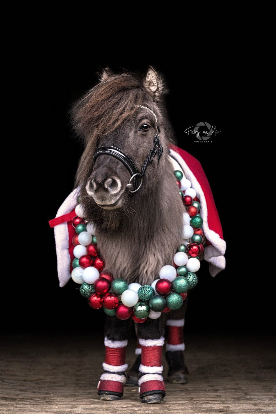 Trensen für die Kleinen ohne Sperrriemen englisch