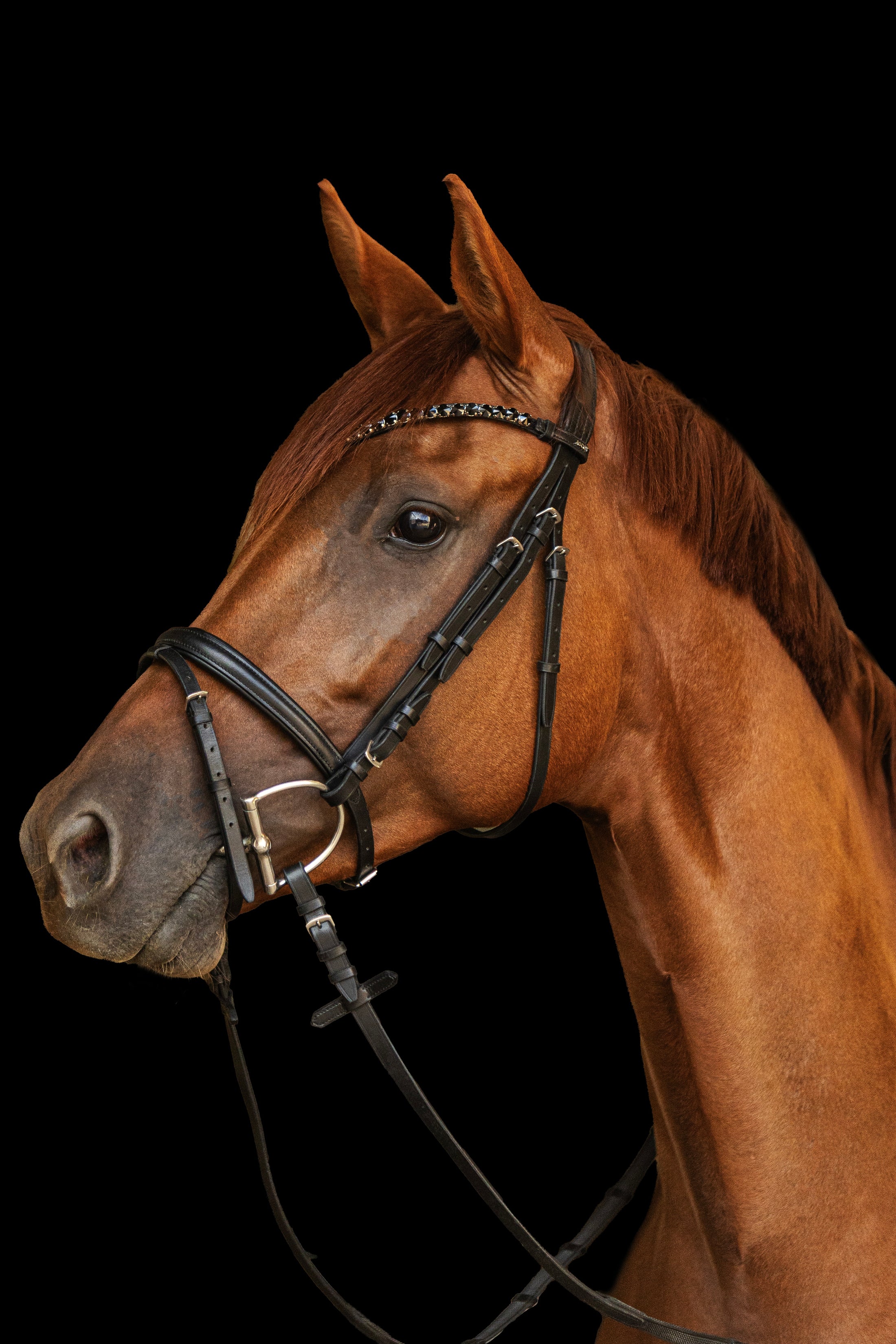 Trense Aachen