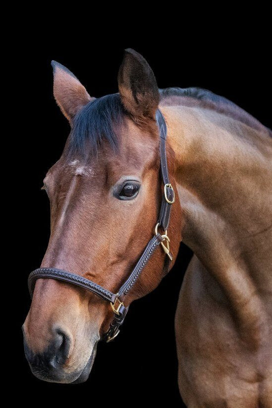 Lederhalfter mit geflochtenem Detail