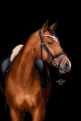 Load image into Gallery viewer, Bridle Saint-Tropez
