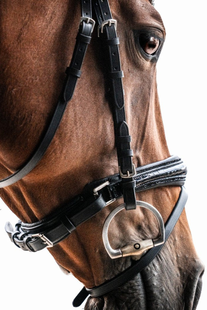 Bridle Saint-Tropez