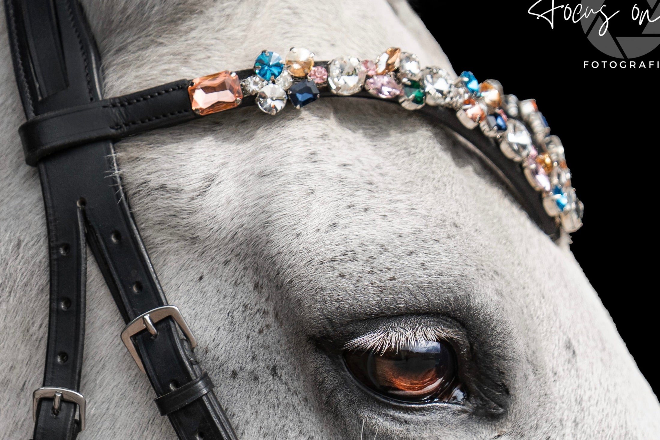 Stirnriemen Diva V Nr. 18