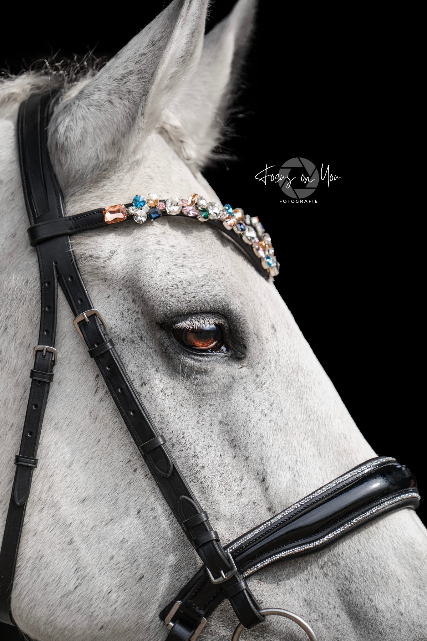 Bridle Stockholm