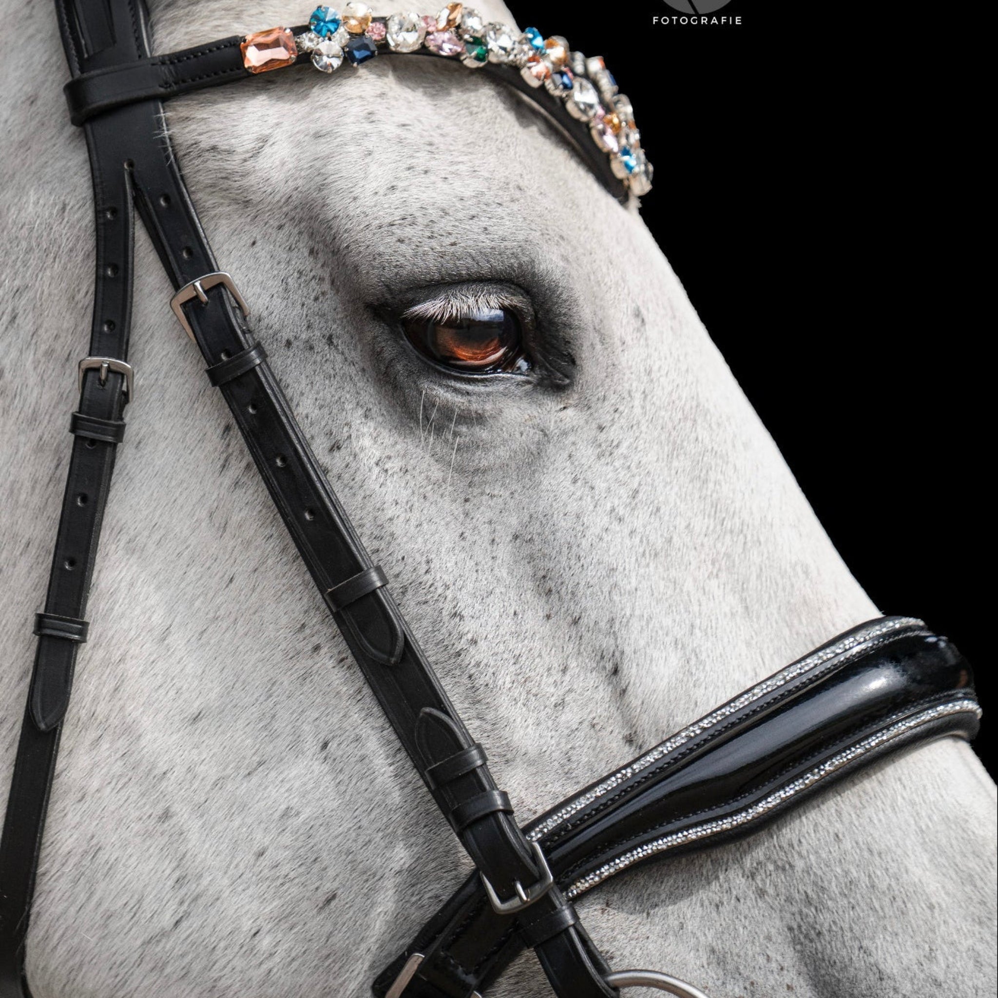 Nasenriemen einseitig verschnallbar Stockholm