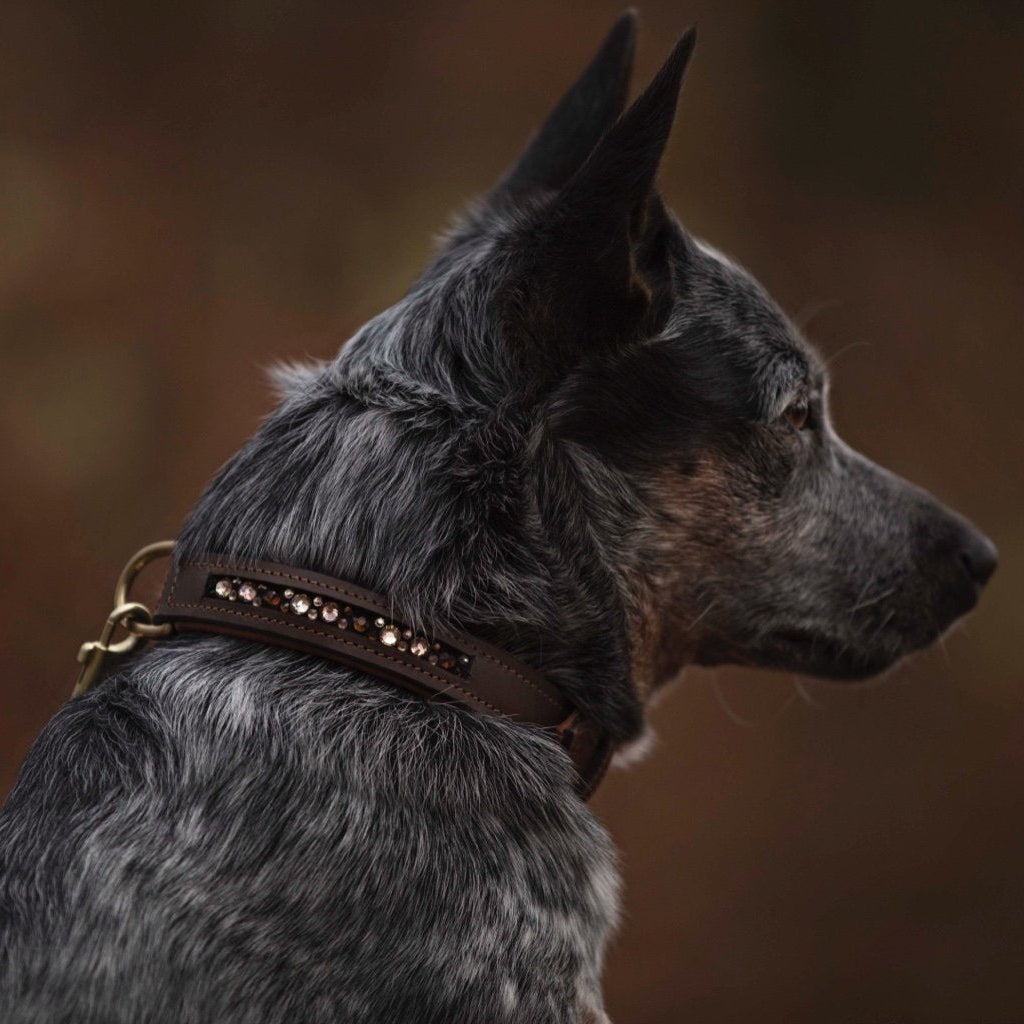 Braunes Hundehalsband mit innenliegenden Strasssteinen