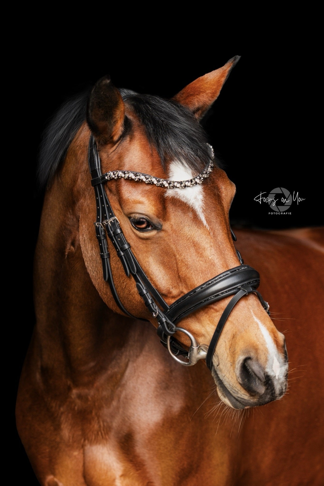 Trense Saint-Tropez