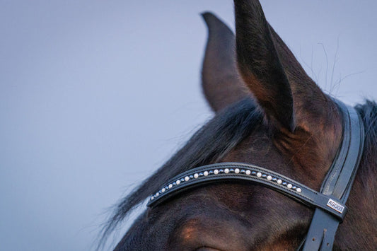 Stirnriemen Noble (Nr. 20.)