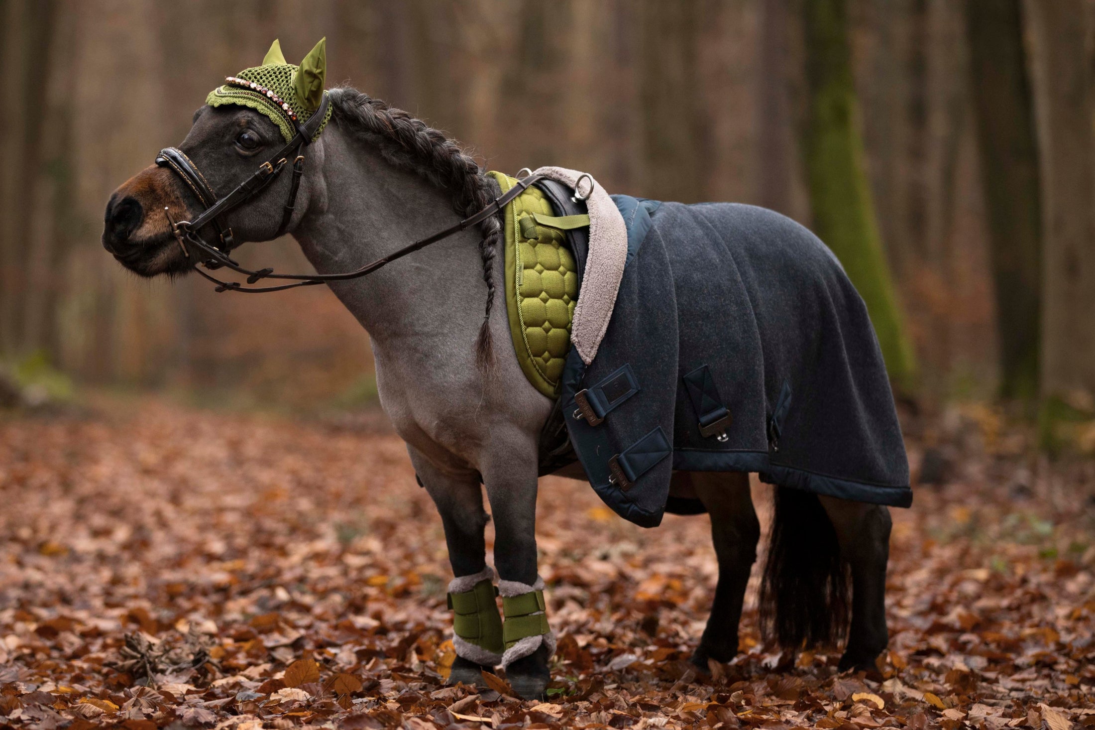 Bridles for the little ones