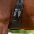 Load image into Gallery viewer, anatomischer Lederkurzgurt soft - Ascot Reitsportschwarz
