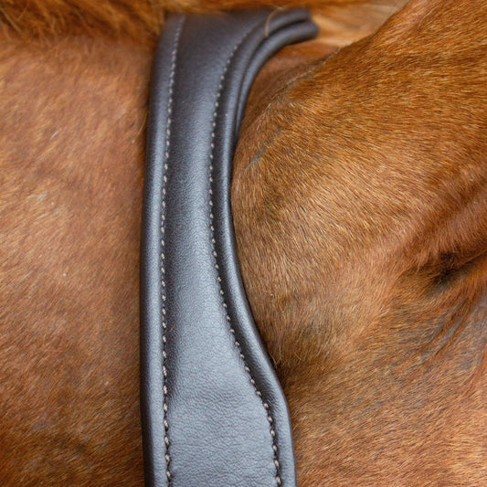 Anatomisches Genickstück aus Softleder - Ascot Reitsportbraun