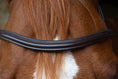 Load image into Gallery viewer, brauner Lederstirnriemen Timeless (Nr. 112.) - Ascot Reitsport112.(dunkelbraun)
