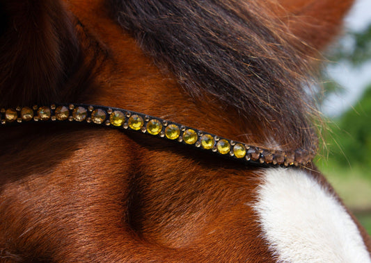 Ein schmaler Stirnriemen mit goldenem Farbverlauf von der Marke Ascot Reitsportartikel.