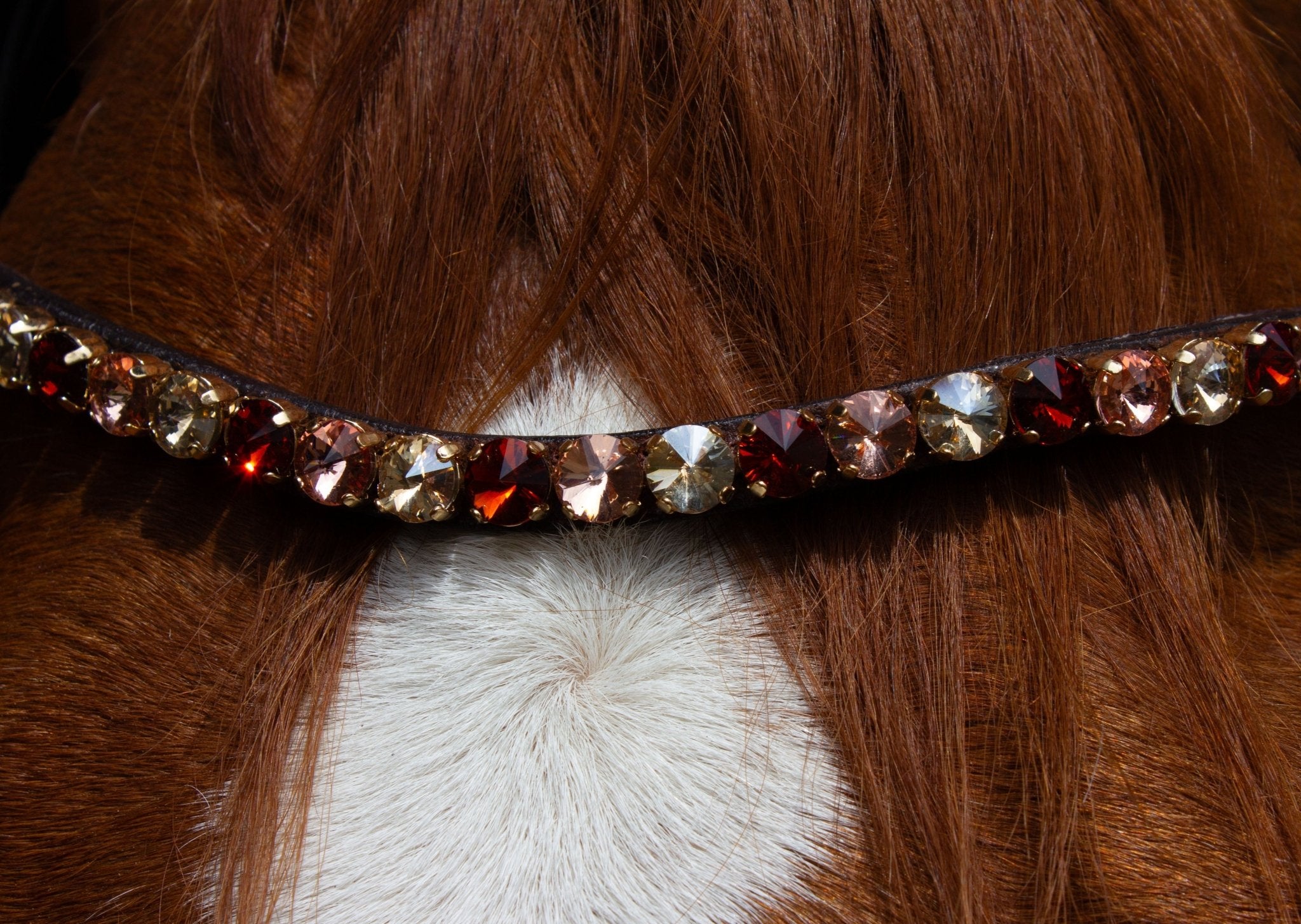 Brauner Stirnriemen Majestic (Nr. 109.) mit großen roségoldfarbenen Glitzersteinen von der Marke Ascot Reitsportartikel.