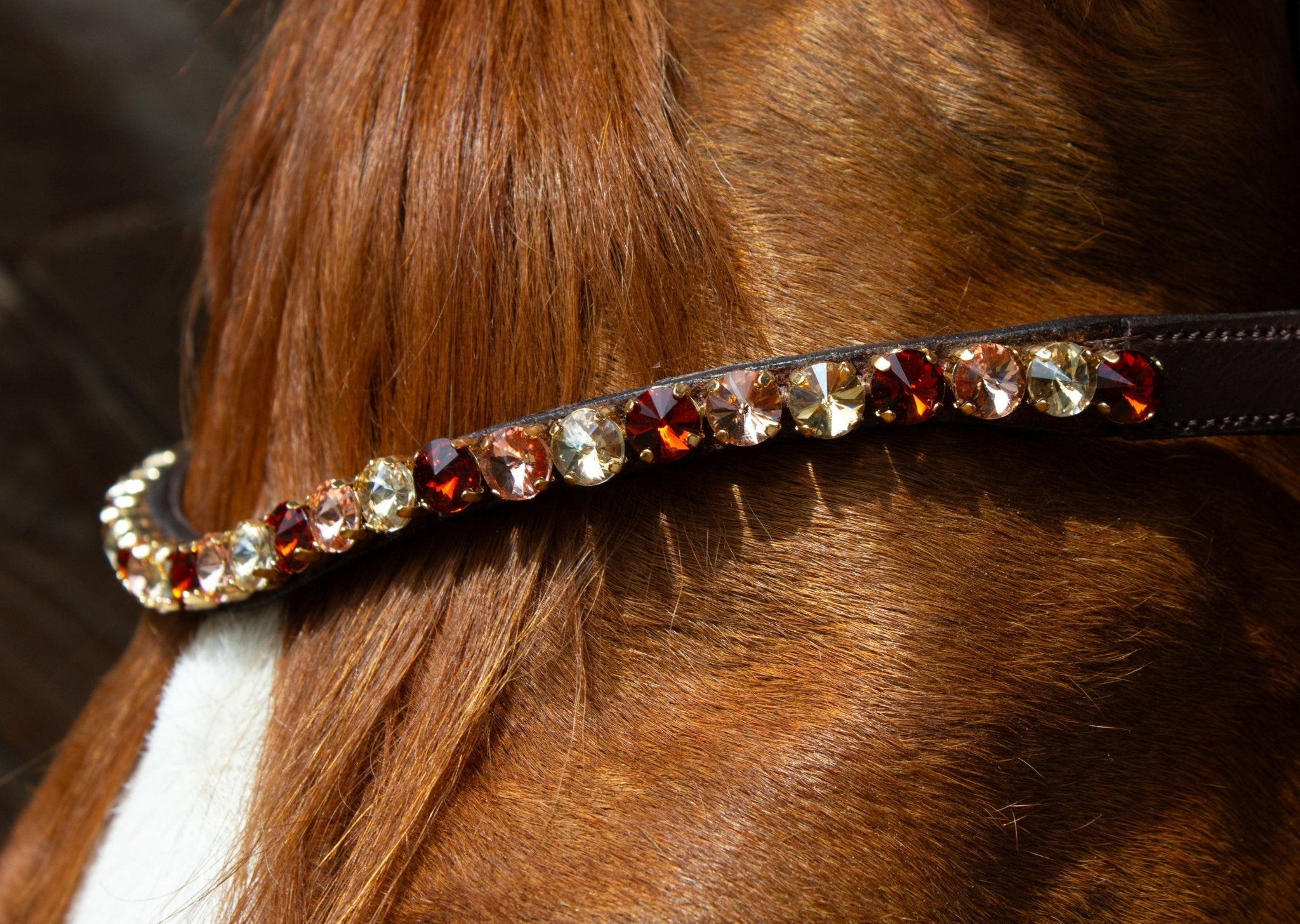 Brauner Stirnriemen Majestic (Nr. 109.) mit großen roségoldfarbenen Glitzersteinen von der Marke Ascot Reitsportartikel.