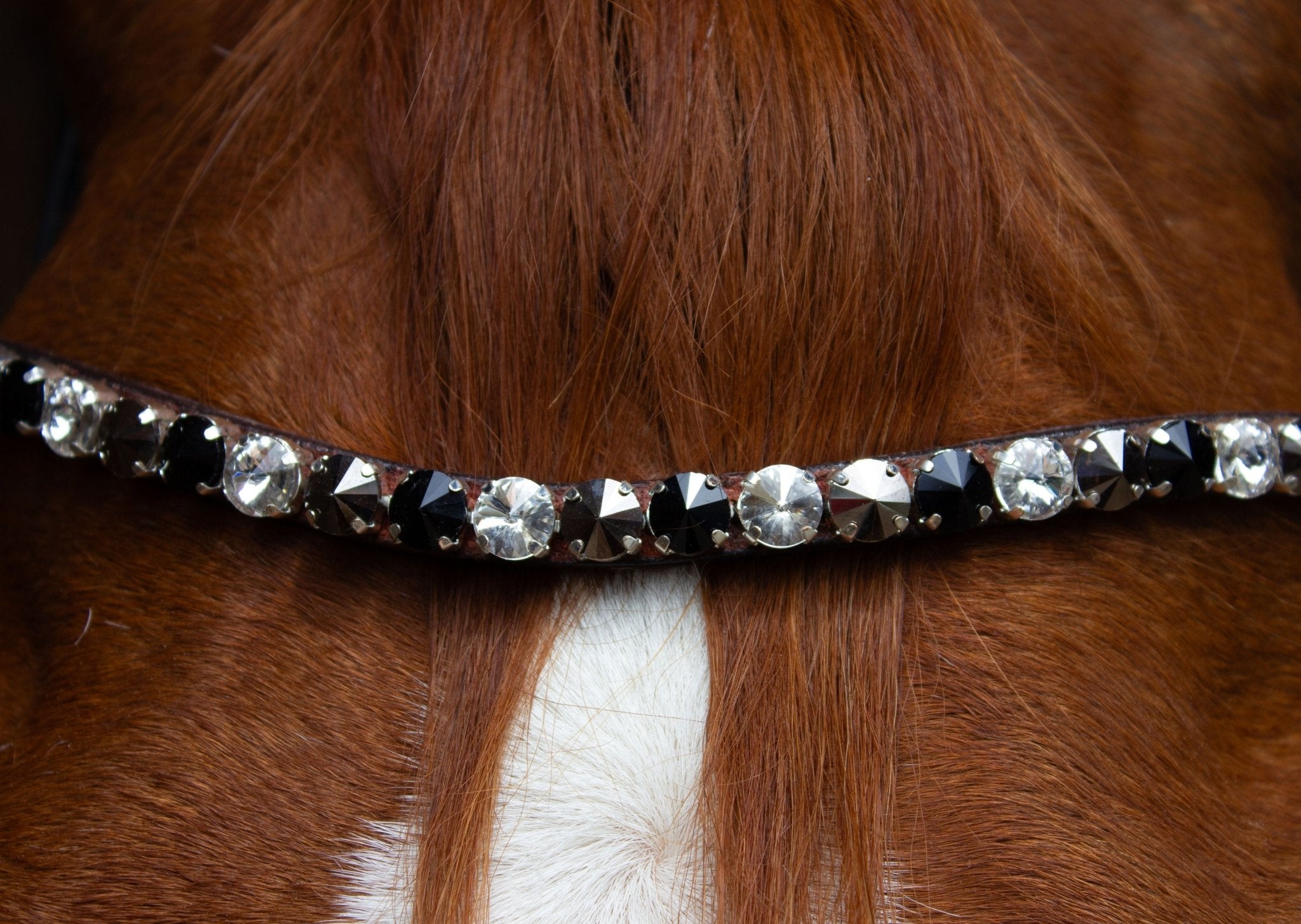 Brauner Stirnriemen Majestic (Nr. 109.) mit großen grauen Glitzersteinen von der Marke Ascot Reitsportartikel.