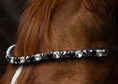 Load image into Gallery viewer, Brauner Stirnriemen Majestic (Nr. 109.) mit großen grauen Glitzersteinen von der Marke Ascot Reitsportartikel.
