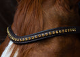 Load image into Gallery viewer, Brauner Lederstirnriemen Shine (Nr.110.) mit eingefassten goldenen Strasssteinen von der Marke Ascot Reitsportartikel.
