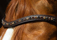 Load image into Gallery viewer, Brauner Lederstirnriemen Shine (Nr.110.) mit eingefassten braun/ goldenen Strasssteinen von der Marke Ascot Reitsportartikel.
