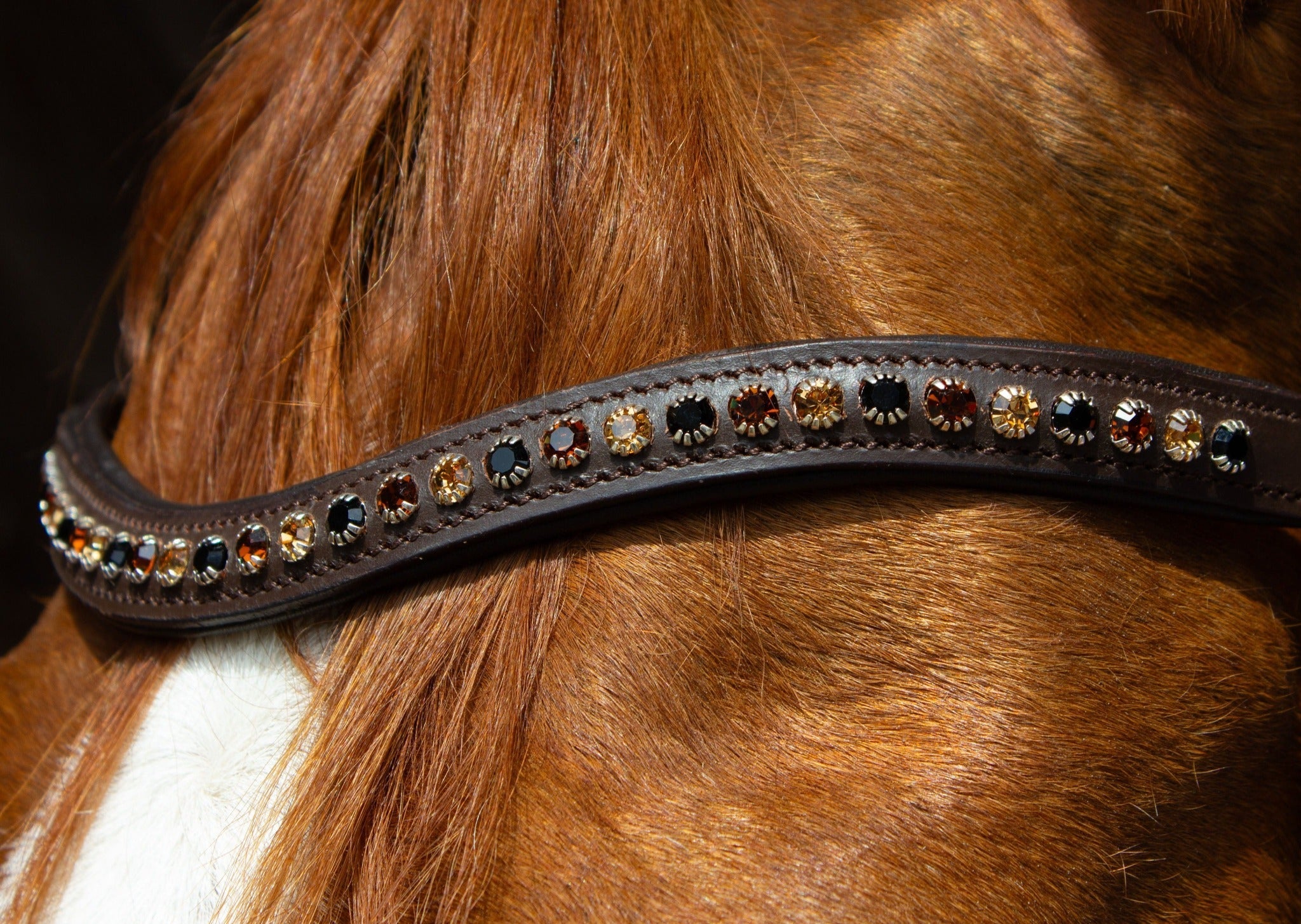 Brauner Lederstirnriemen Shine (Nr.110.) mit eingefassten braun/ goldenen Strasssteinen von der Marke Ascot Reitsportartikel.