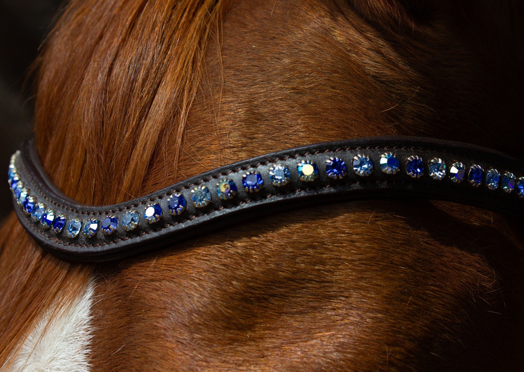 Brauner Lederstirnriemen Shine (Nr.110.) mit eingefassten 110.7 blauen Strasssteinen von der Marke Ascot Reitsportartikel.