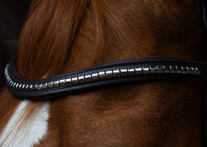 brown browband clincher (No. 113.)