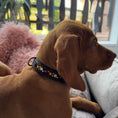 Bild in Galerie-Betrachter laden, Braunes Hundehalsband mit innenliegenden Strasssteinen - Ascot Reitsportrosa - burgundy - orange (braunes Leder) Messingbeschläge
