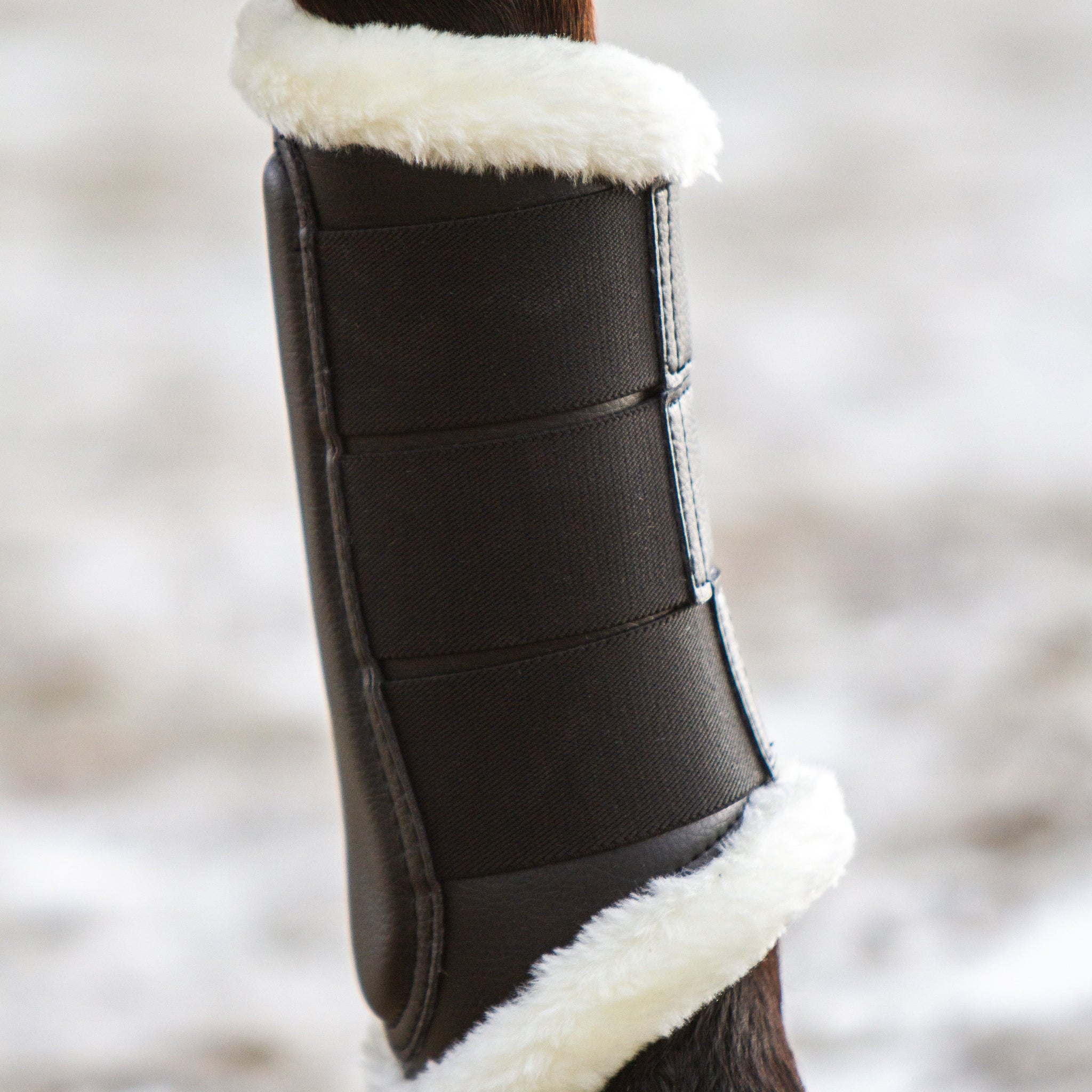 Gamaschen - Ascot ReitsportM vorne