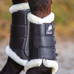 Gamaschen - Ascot ReitsportM vorne