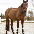 Load image into Gallery viewer, Gamaschen - Ascot ReitsportM vorne

