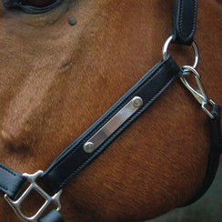 Gravur - Ascot Reitsport