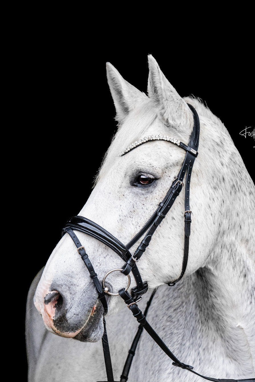 Trense Ascot (englisch-kombiniert)