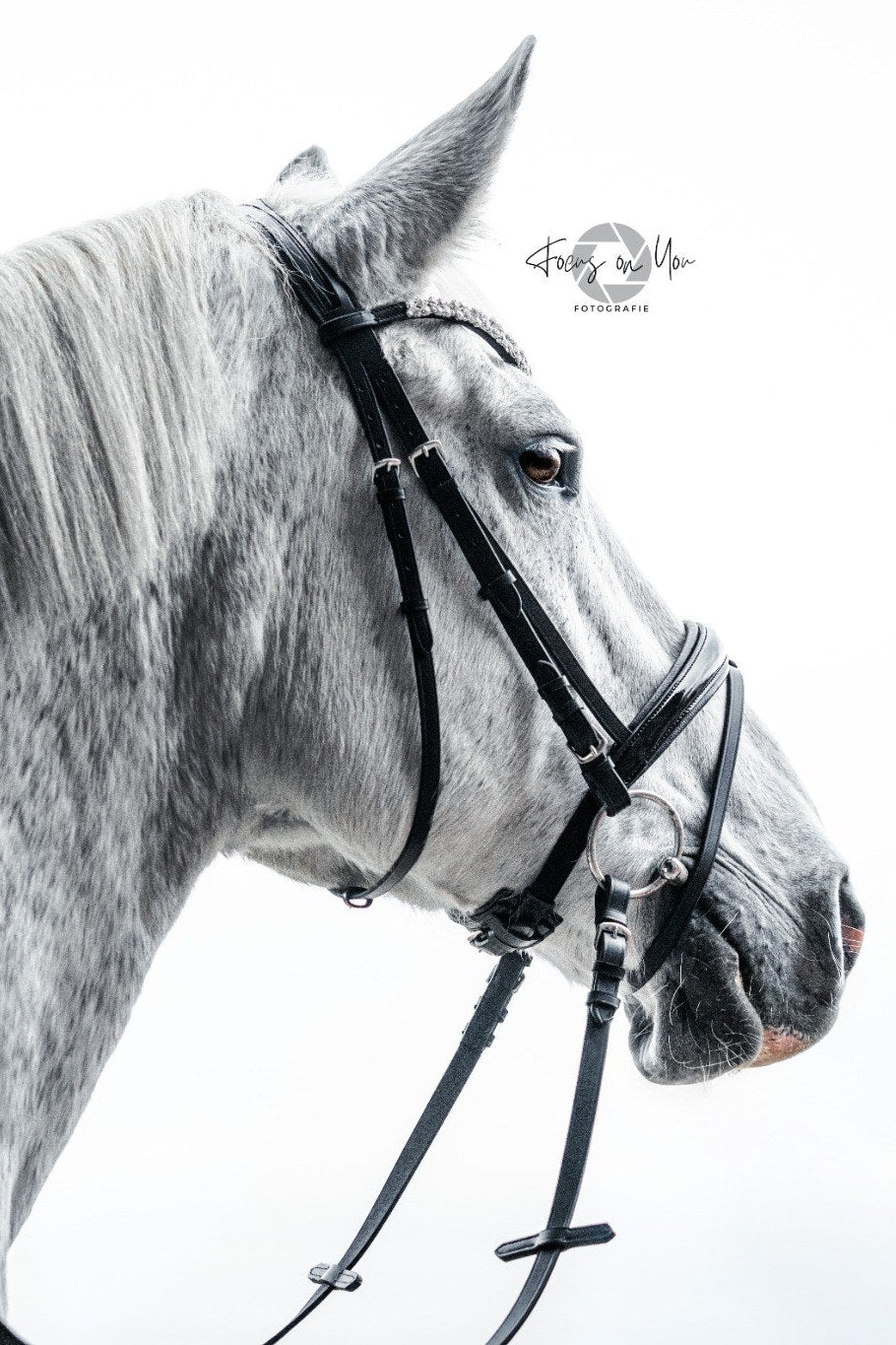 Trense Ascot (englisch-kombiniert)