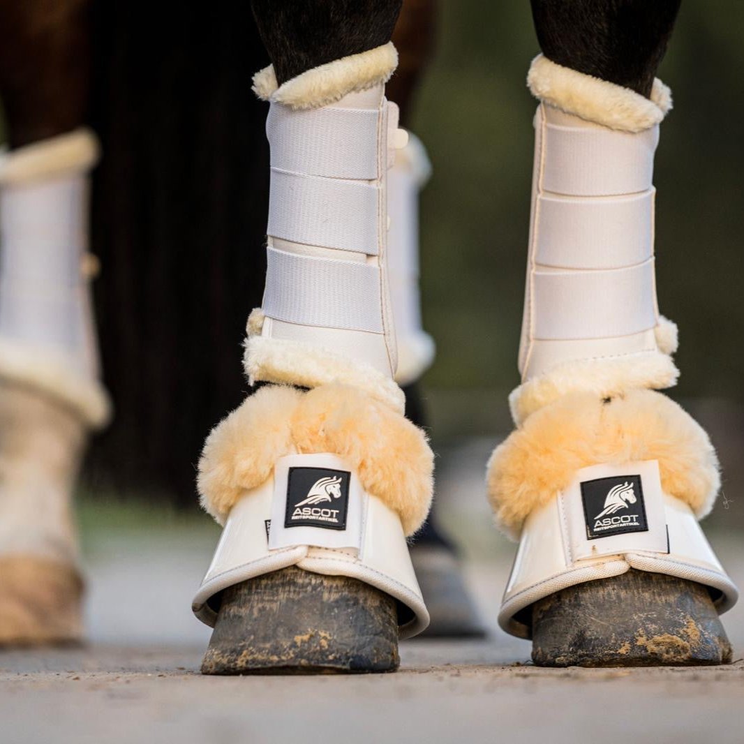 Hufglocken mit Fell - Ascot ReitsportWeiß