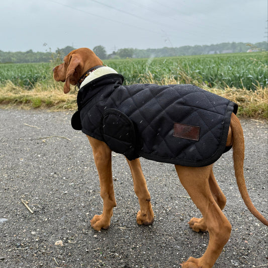 Hundedecke - Ascot Reitsportschwarz
