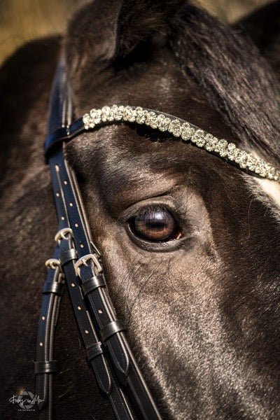Kandare Saint - Tropez - Ascot Reitsportschwarz lack/ kroko schwarzer Strass mit silbernen Beschlägen