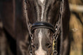 Load image into Gallery viewer, Kandare Saint - Tropez - Ascot Reitsportschwarz lack/ kroko schwarzer Strass mit silbernen Beschlägen
