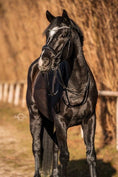 Load image into Gallery viewer, Kandare Saint - Tropez - Ascot Reitsportschwarz lack/ silberner Strass mit silbernen Beschlägen
