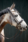 Load image into Gallery viewer, Kandare Wellington - Ascot Reitsportbraun lack Messingbeschläge
